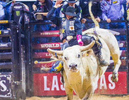 OpenBet Adds Professional Bull Riders Event Betting