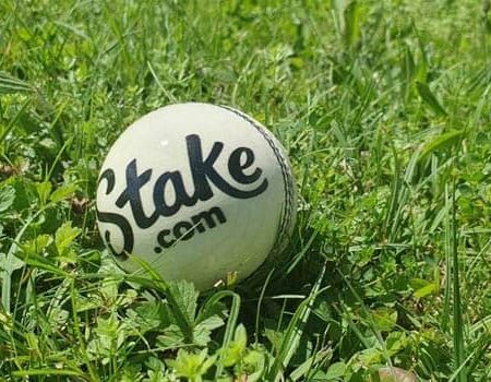 Stake.com, European Cricket Network Extend Partnership