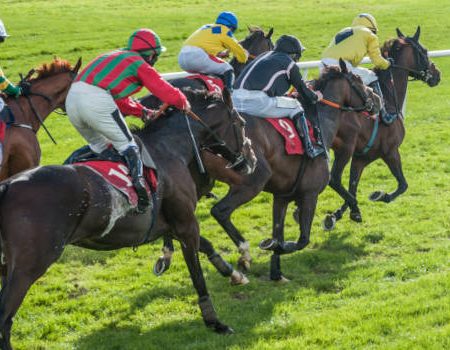 SIS to Sponsor Handicap Race Ahead of El Derby Day