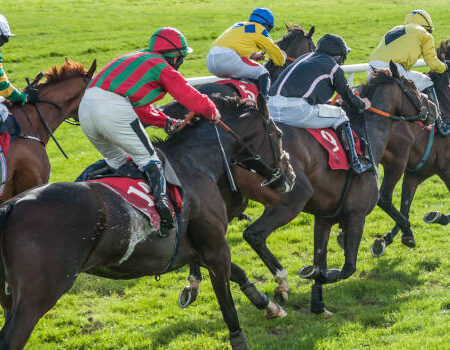 Safety Concerns Raised After Four Horses Die Ahead of Kentucky Derby